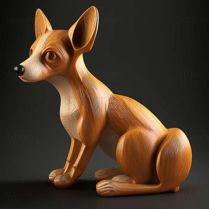 Animals Toy Fox Terrier dog